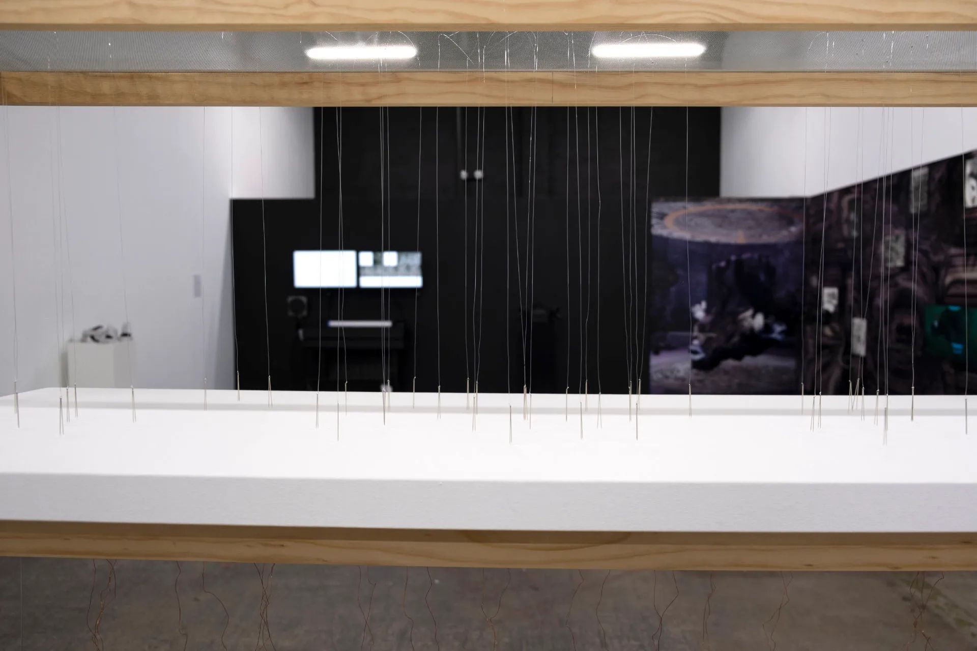 A picture of Alba Triana's Entropic Ballet, showing suspended needles in variable electromagnetic fields