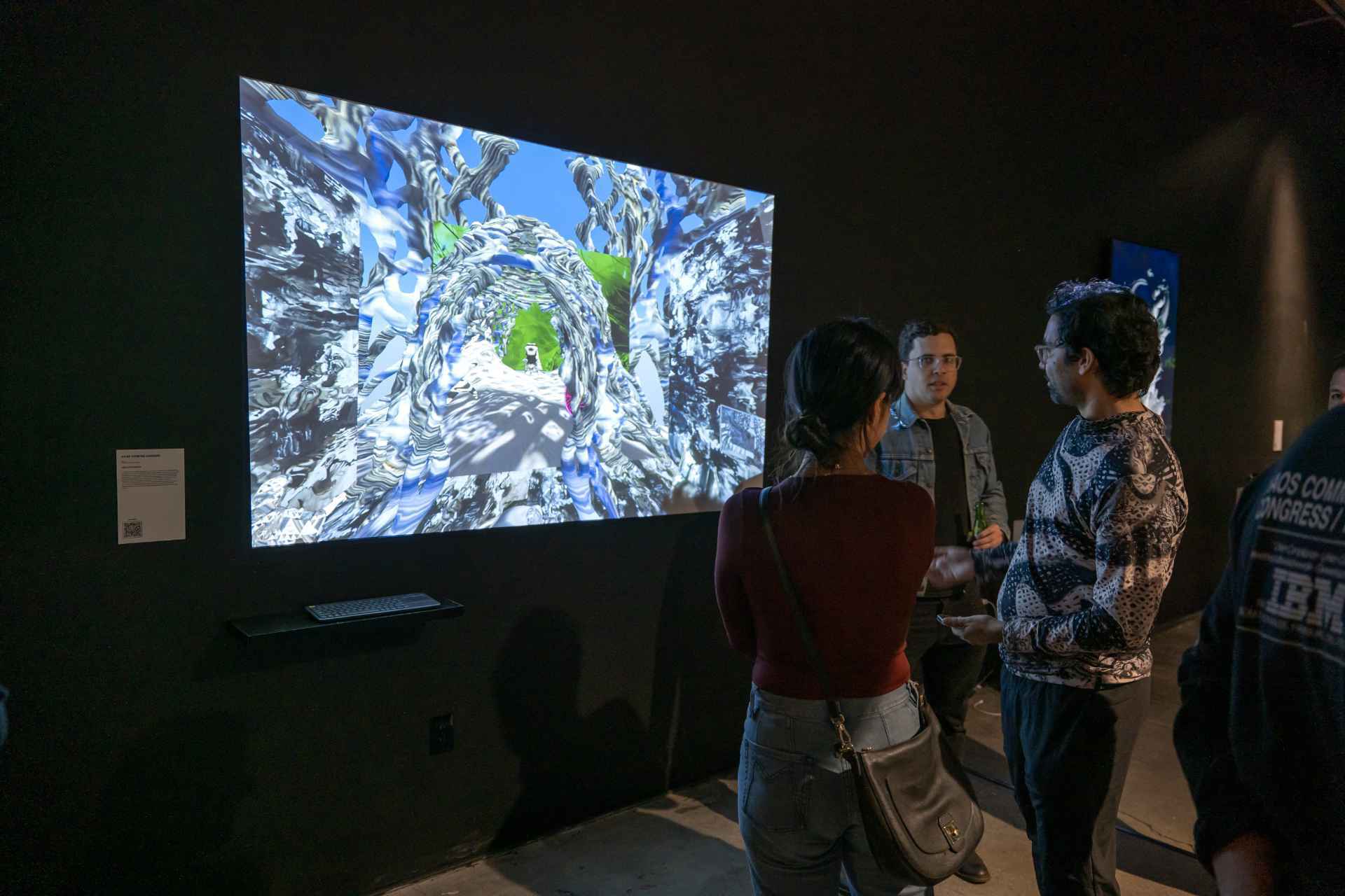 Leo Castaneda Game viewing gardens 1.